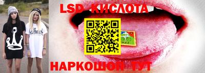 прущие грибы Новозыбков