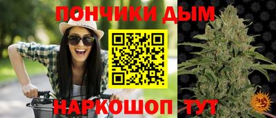 прущие грибы Новозыбков
