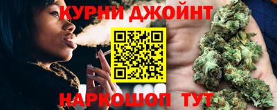 прущие грибы Новозыбков