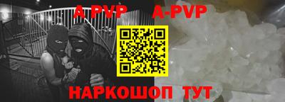 прущие грибы Новозыбков