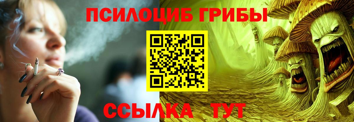 Усть-Джегута  Псилоцибиновые грибы GOLDEN TEACHER  Вход с VPN 
