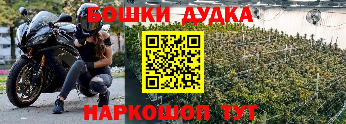 Канабис индика Усть-Джегута
